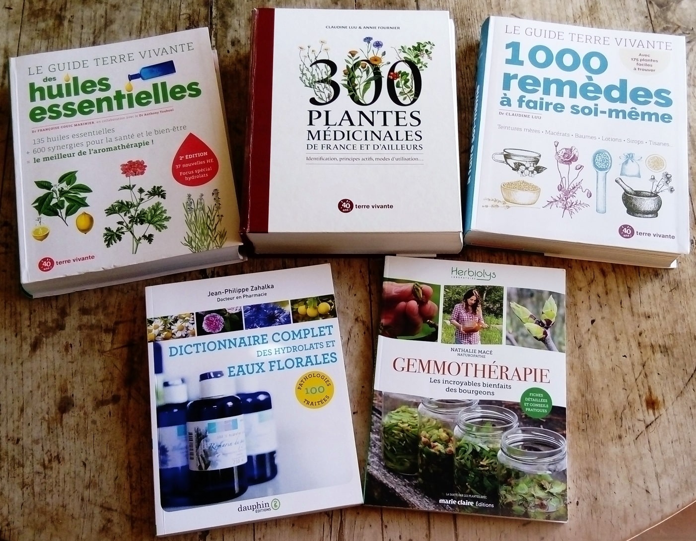 Livre 300 plantes médicinales de France et d'ailleurs aux